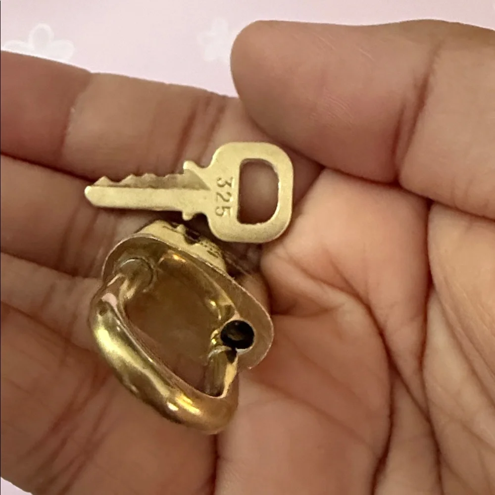 Louis vuitton brass lock set #325